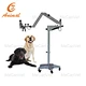 Ophthalmic Surgical Microscope